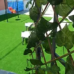 度假居 Family Country House-corfu Holidays