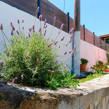Family Country House-corfu Holidays Ferienhaus *